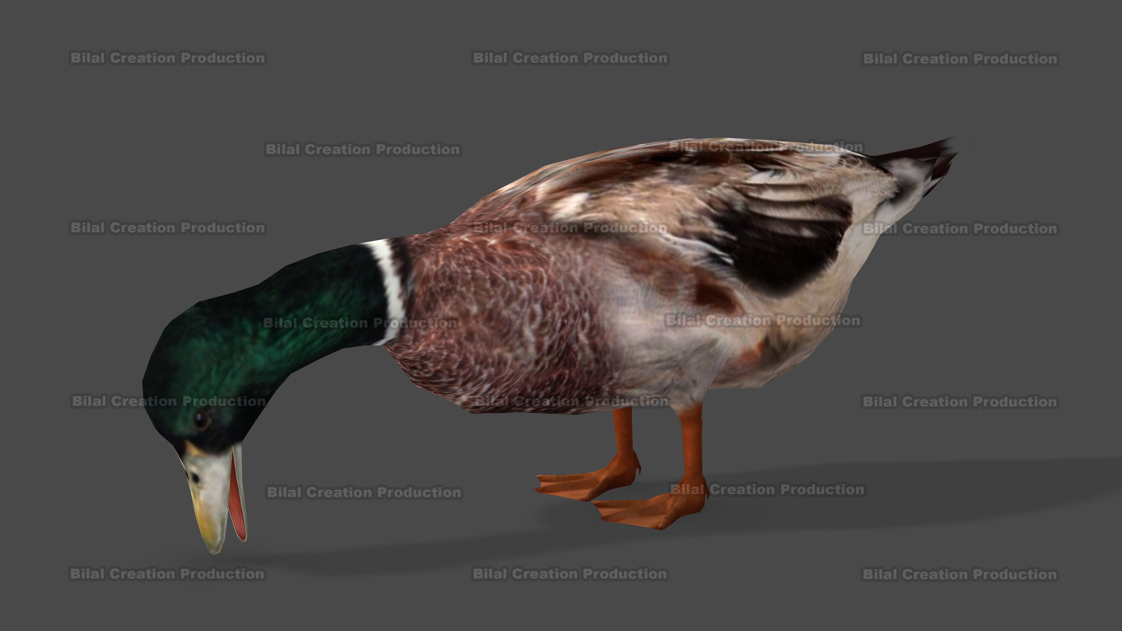 DUCK MALE ANIMATED Low-poly 3D model_6