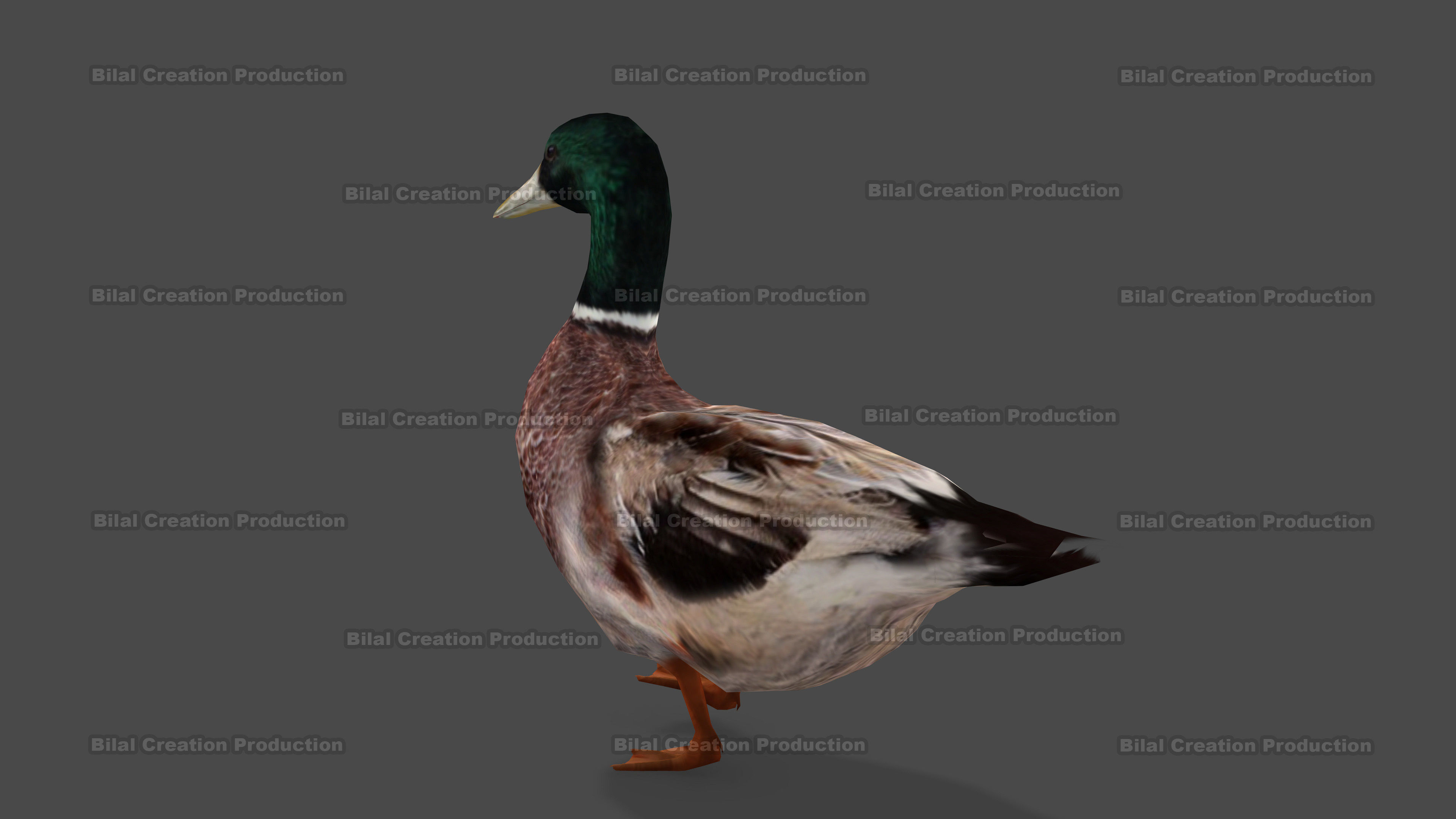 DUCK MALE ANIMATED Low-poly 3D model_4