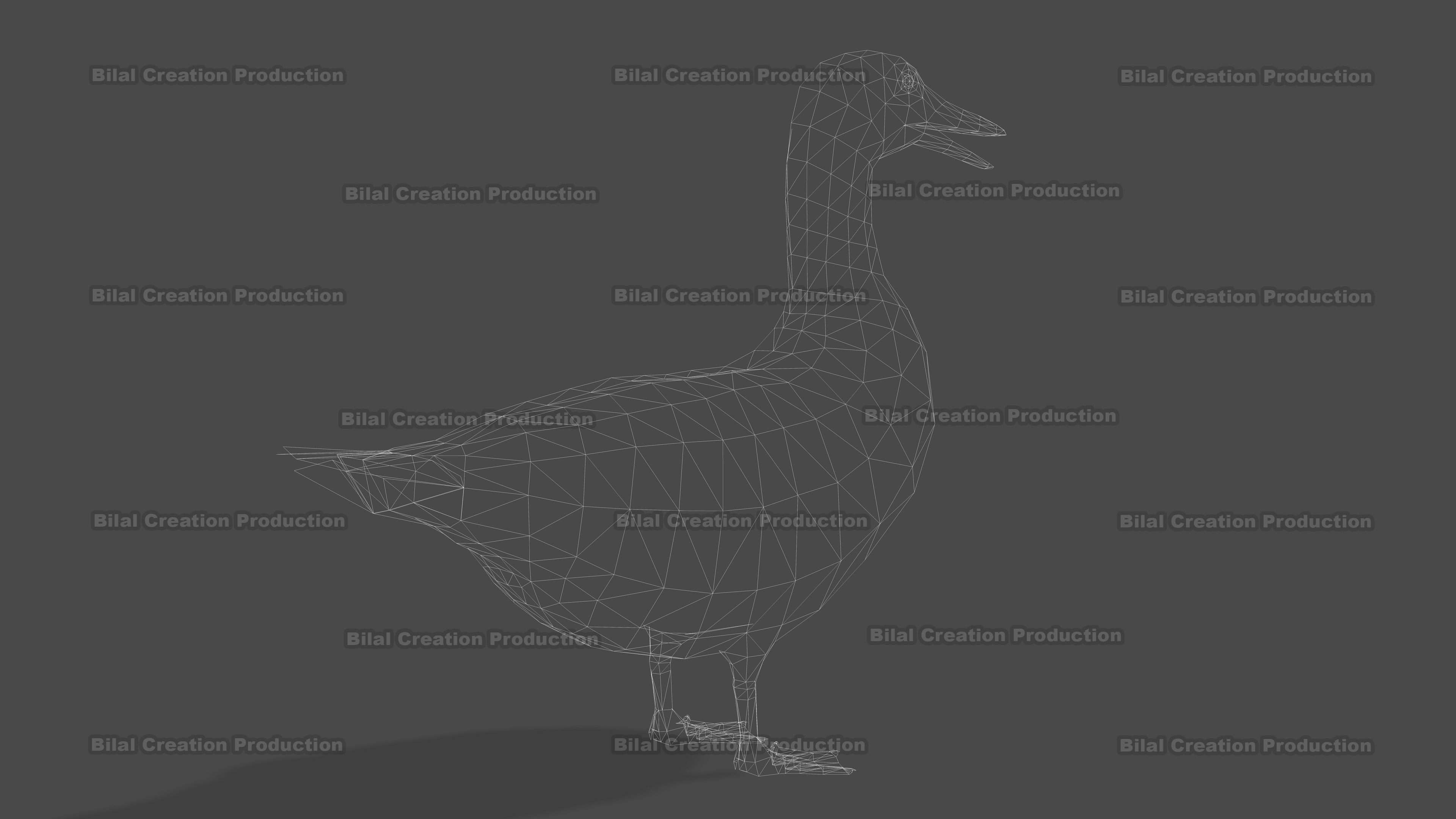 DUCK MALE ANIMATED Low-poly 3D model_21