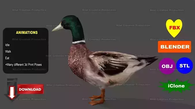 DUCK MALE ANIMATED Low-poly 3D model