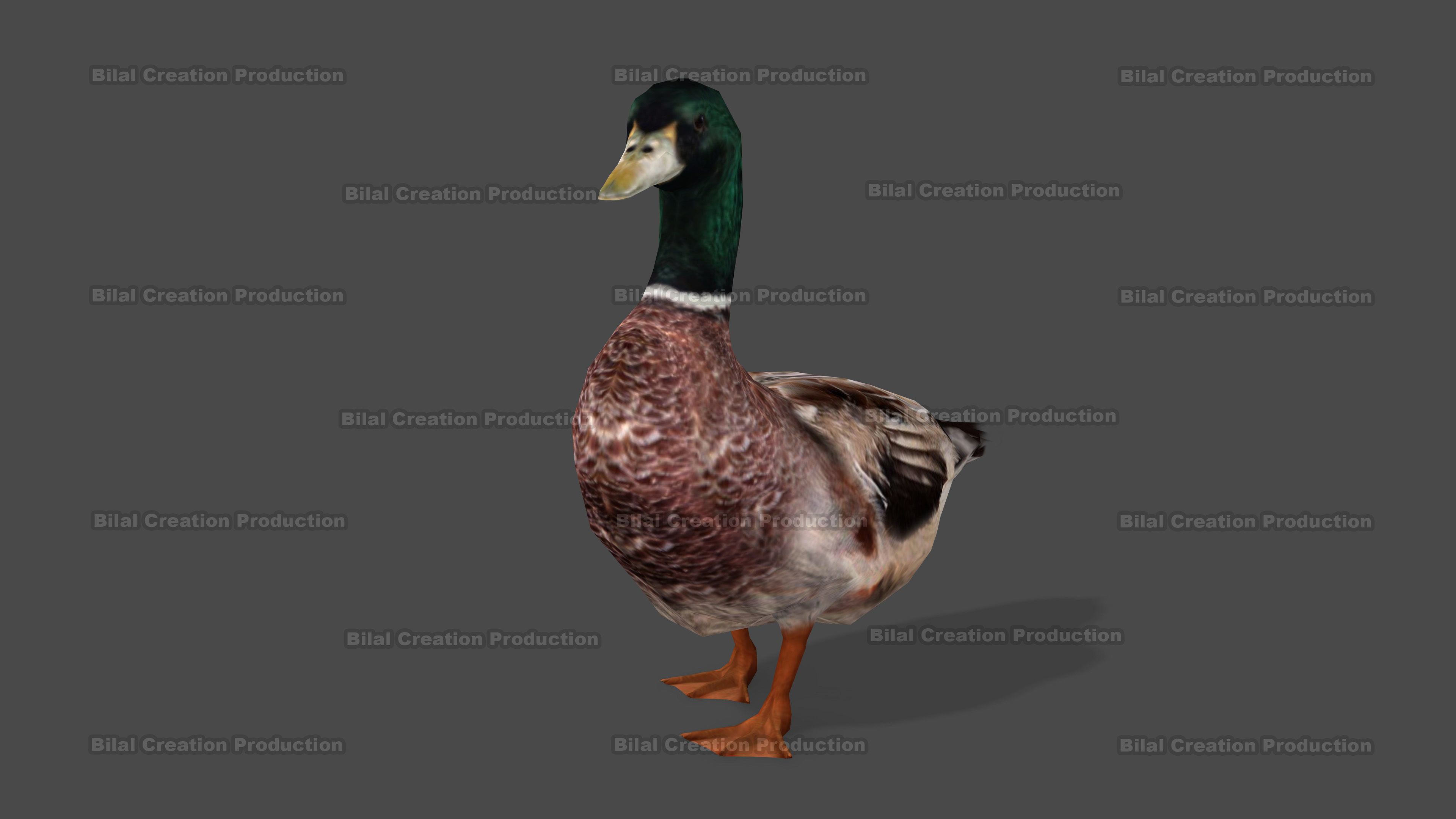 DUCK MALE ANIMATED Low-poly 3D model_10
