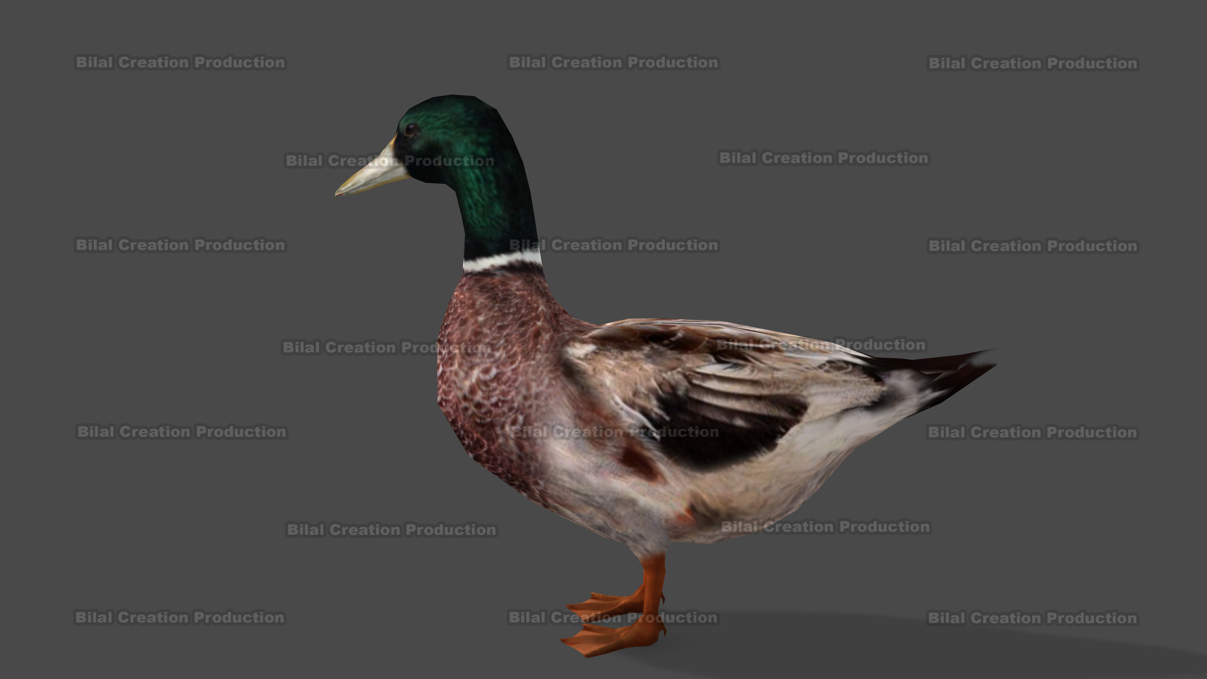 DUCK MALE ANIMATED Low-poly 3D model_9