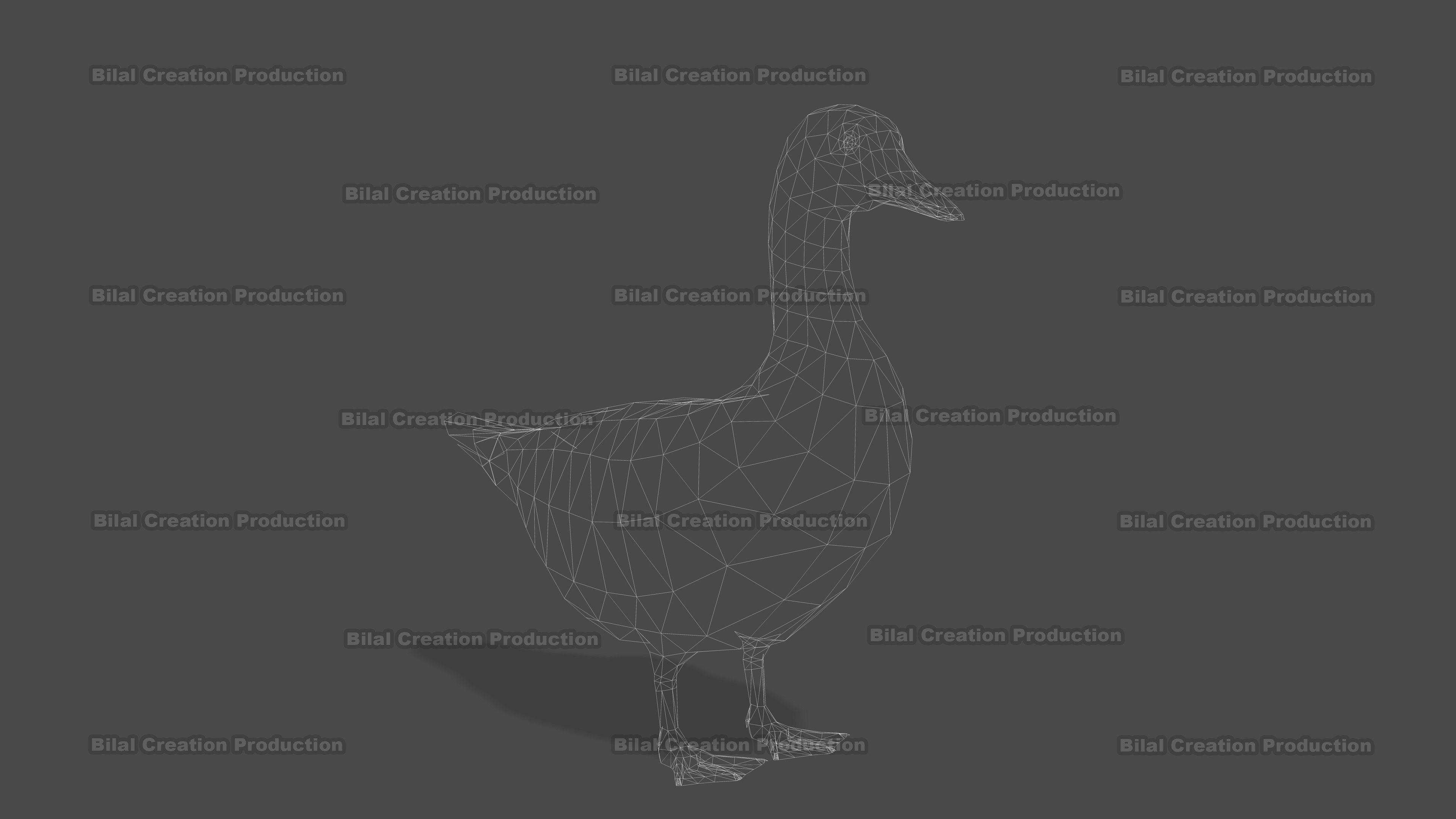 DUCK MALE ANIMATED Low-poly 3D model_19