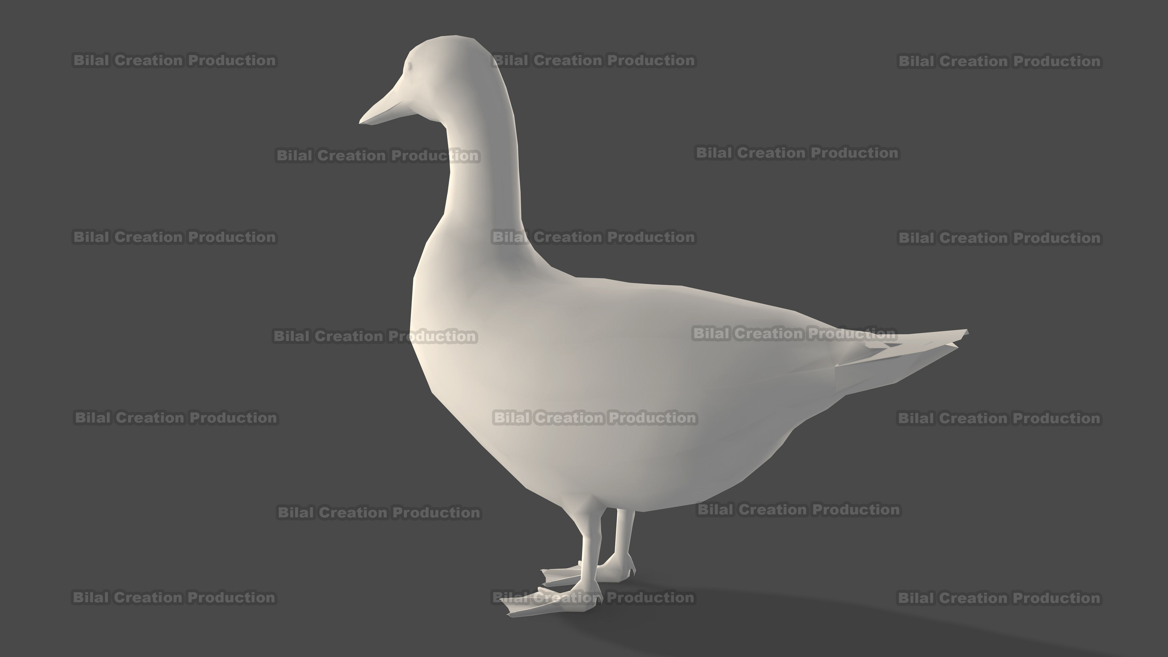 DUCK MALE ANIMATED Low-poly 3D model_17
