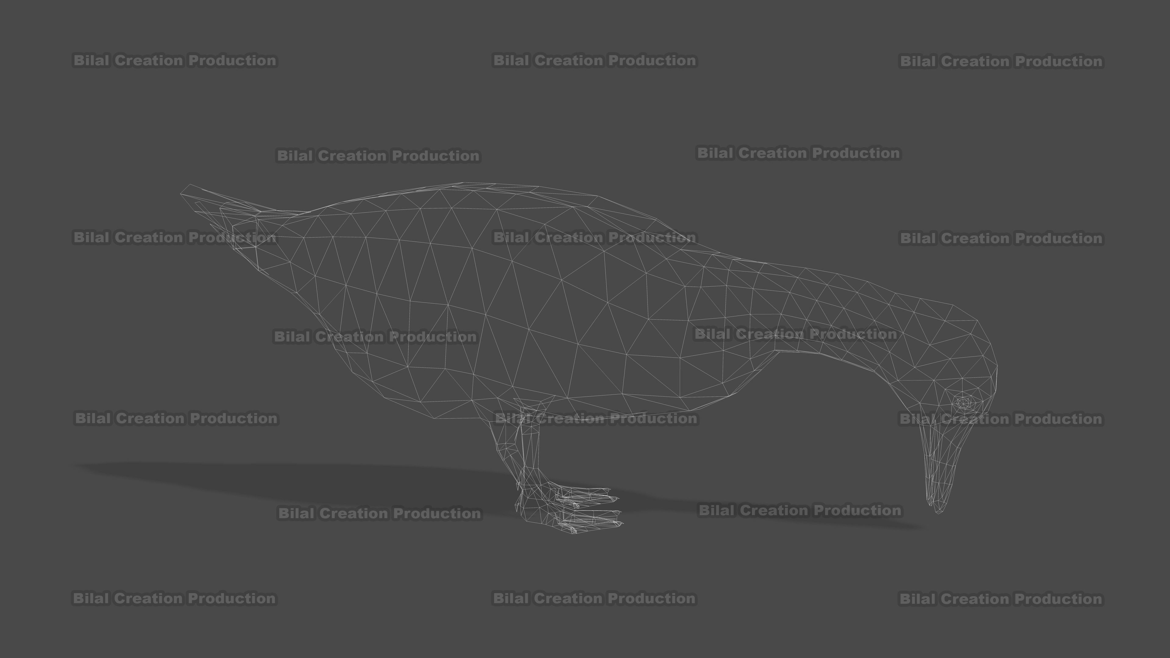 DUCK MALE ANIMATED Low-poly 3D model_20