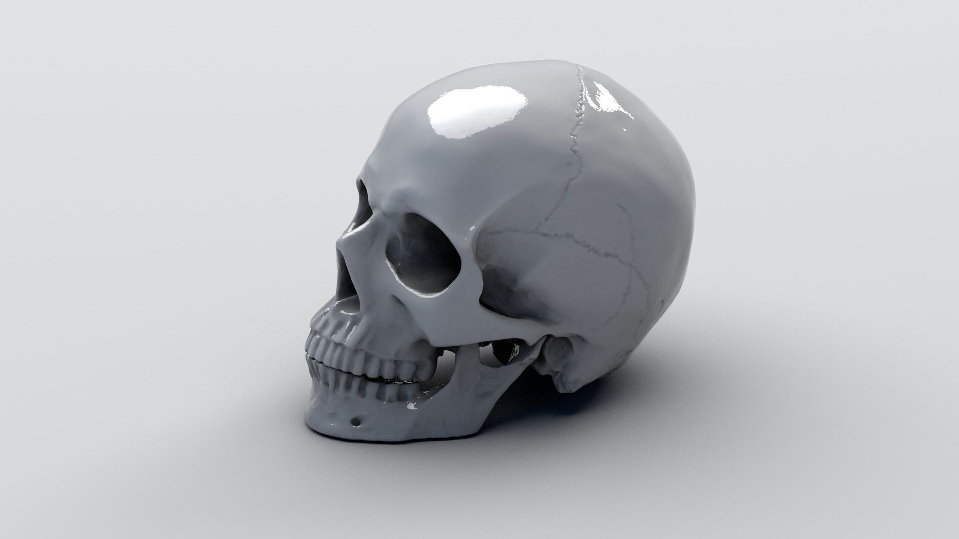 Realistic Skull human 3D print model_4