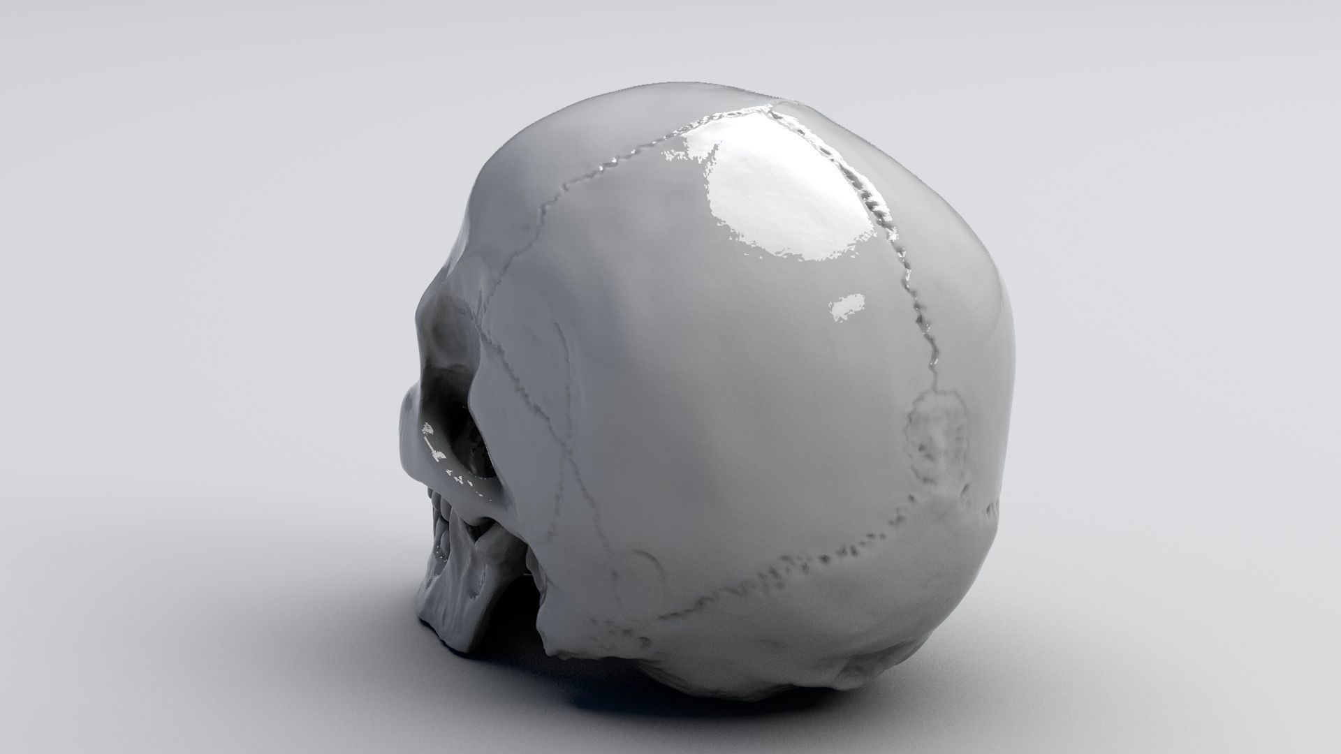 Realistic Skull human 3D print model_2