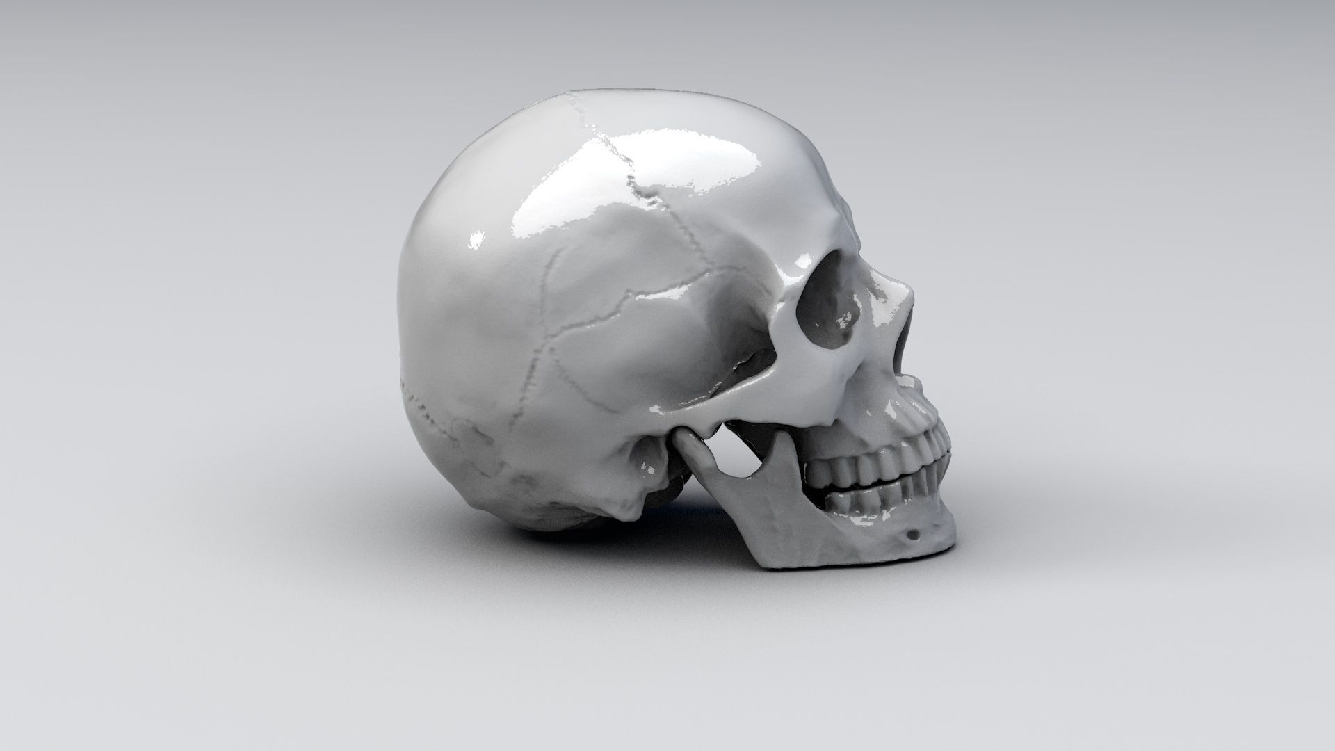 Realistic Skull human 3D print model_5
