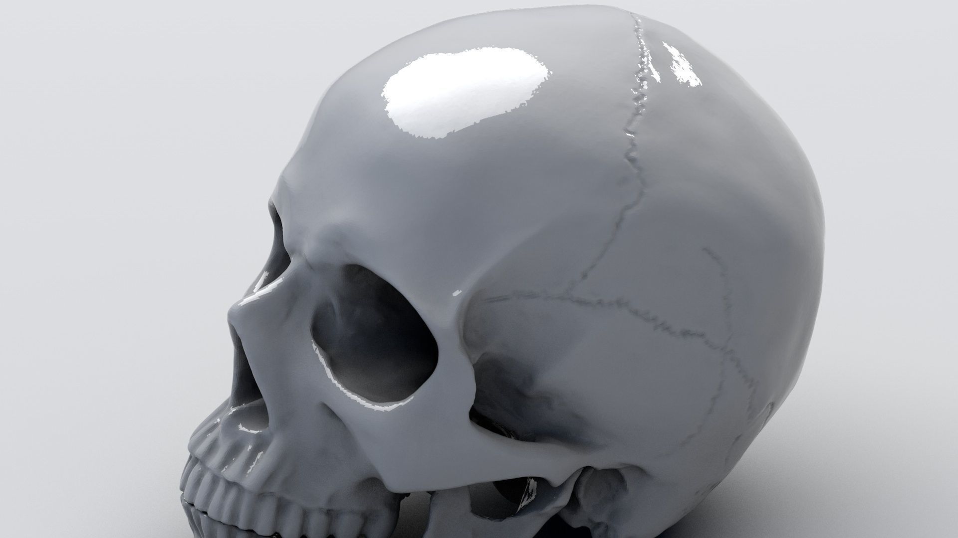 Realistic Skull human 3D print model_1