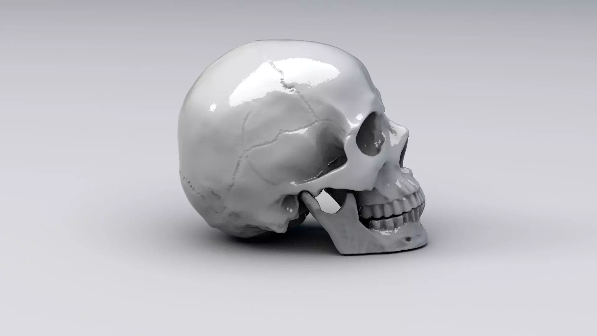 Realistic Skull human 3D print model_0