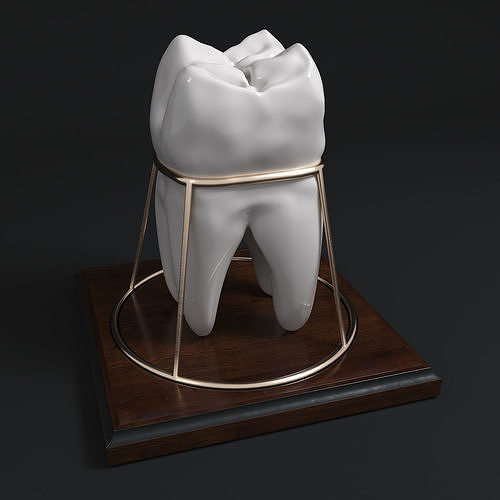 tooth souvenir 3D model
