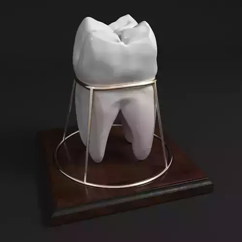 tooth souvenir 3D model
