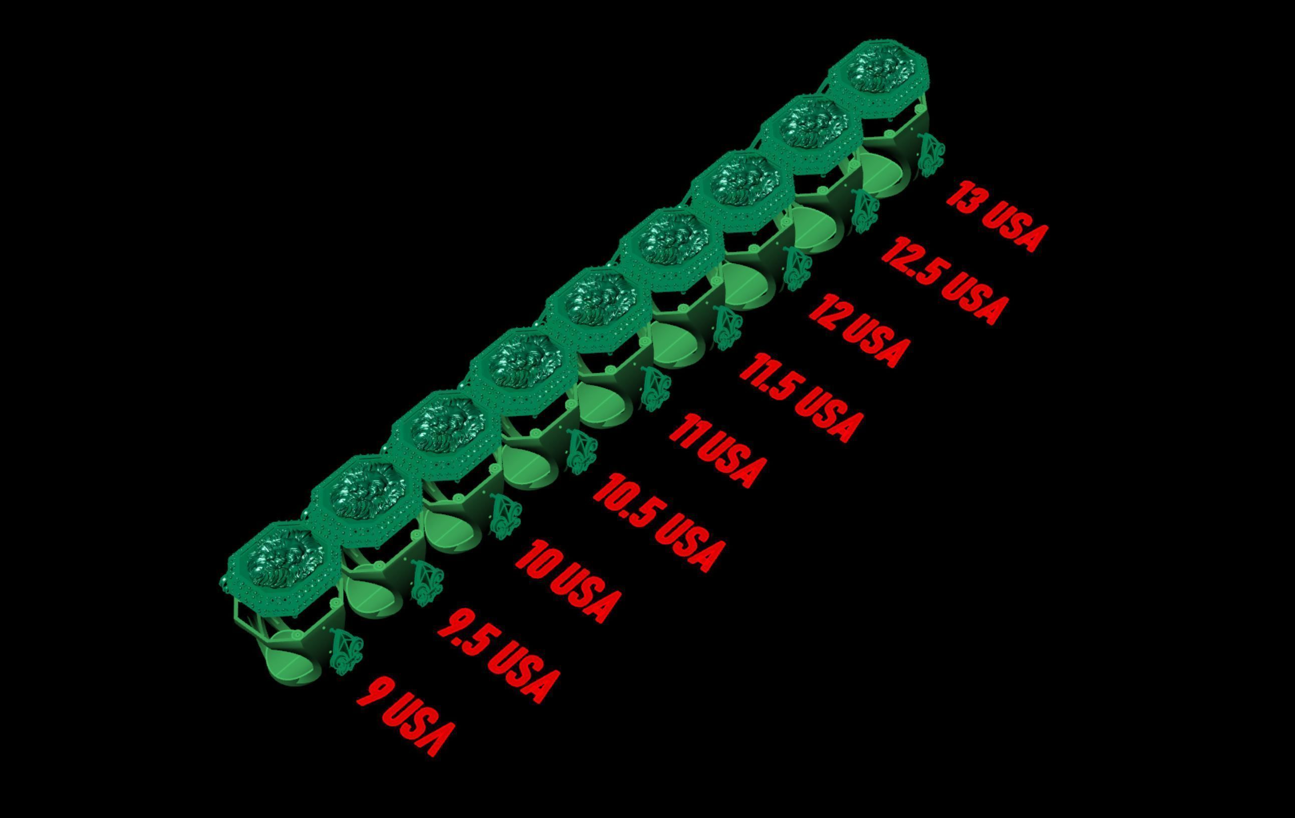 Rring with a lion and an all-seeing eye 3D print model_12