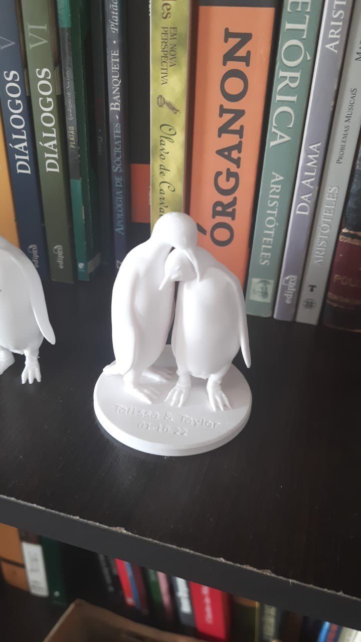 Penguins couple  3D print model_7