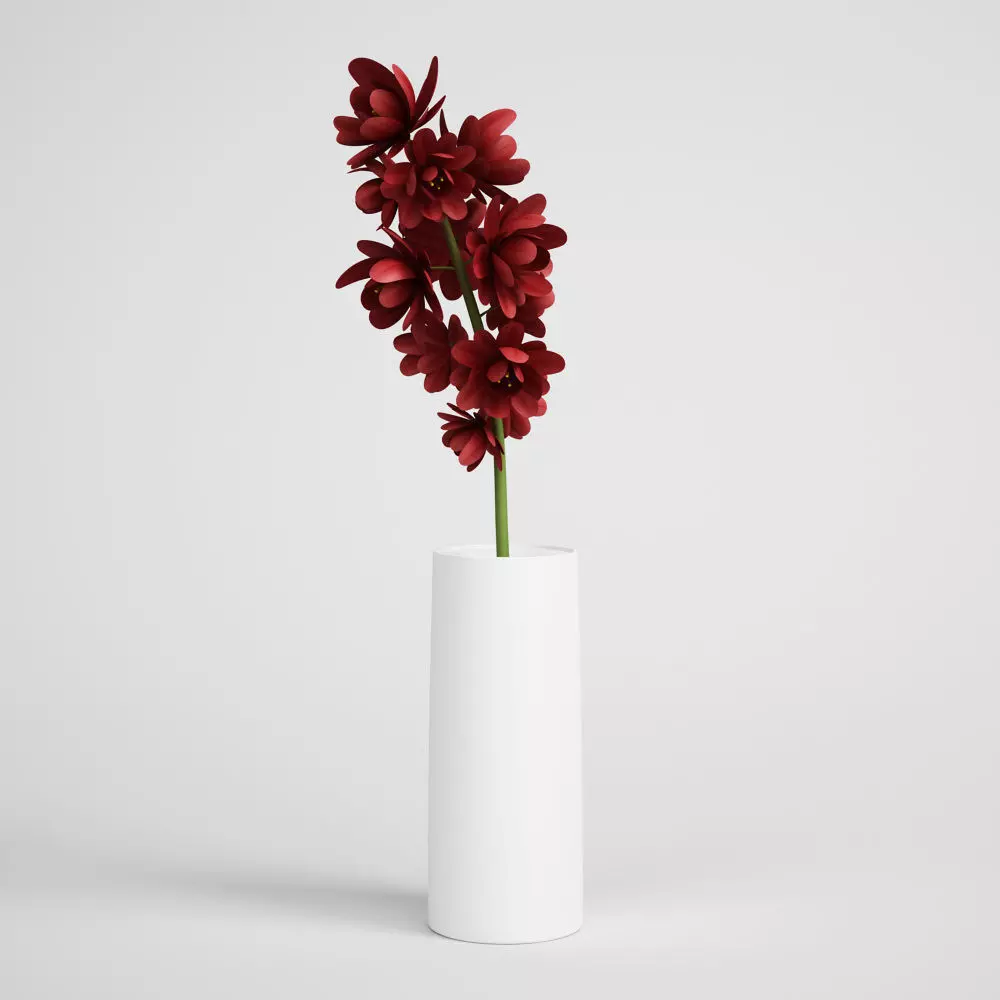 CGAxis flower 3D model_0
