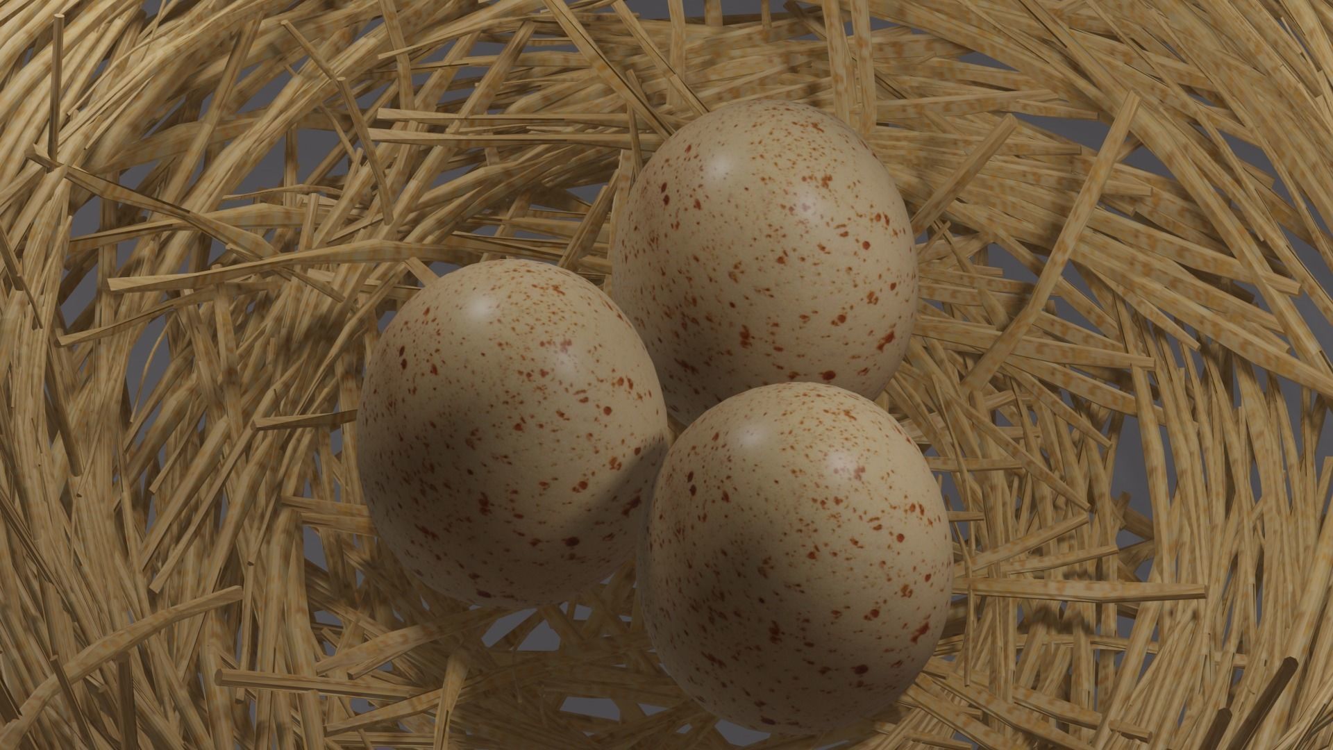 eggs in the nest Low-poly 3D model_1