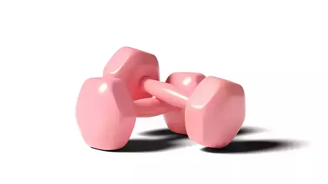 Dumbbell two silver dumbbells