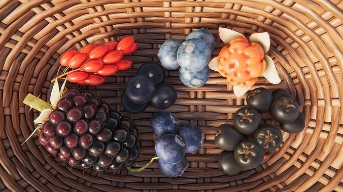 Berries and Cherries 3D model 4