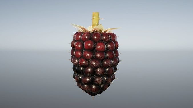 Berries and Cherries 3D model 7