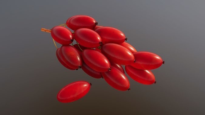 Berries and Cherries 3D model 6