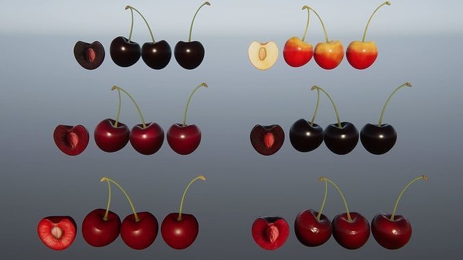 Berries and Cherries 3D model 5
