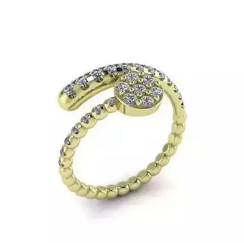 Ring Model 2117 3D print model