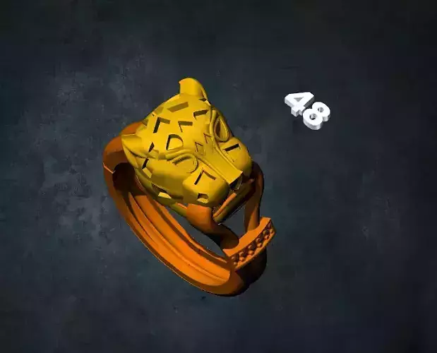 lions orange ring with numbers