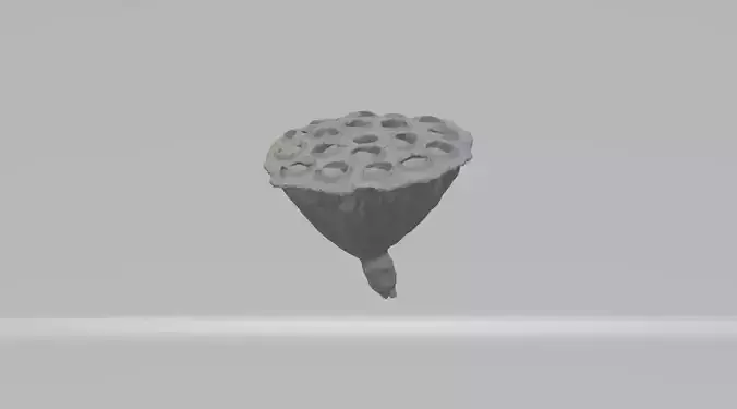 Lotus Pod 3D Model