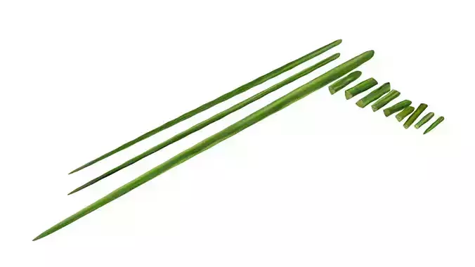 drumstick vegetable