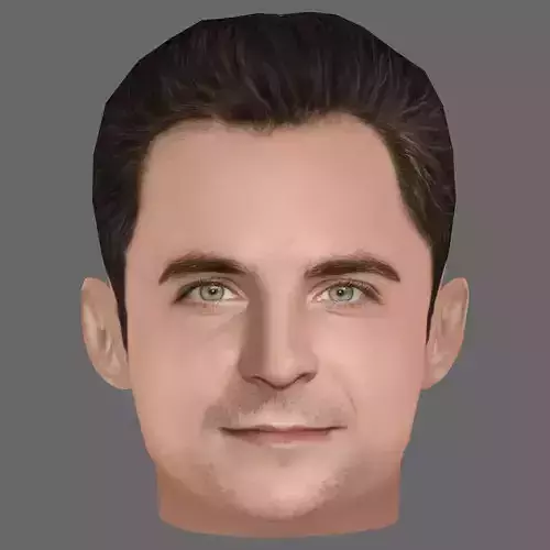 Bradley Cooper Head - Low poly head for game Low-poly 3D model