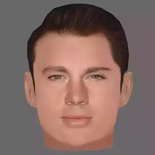 Channing Tatum Head - Low poly head for game