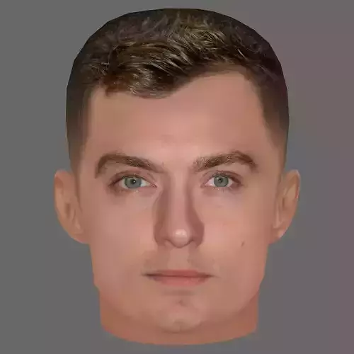 Jude Law Head - Low poly head for game