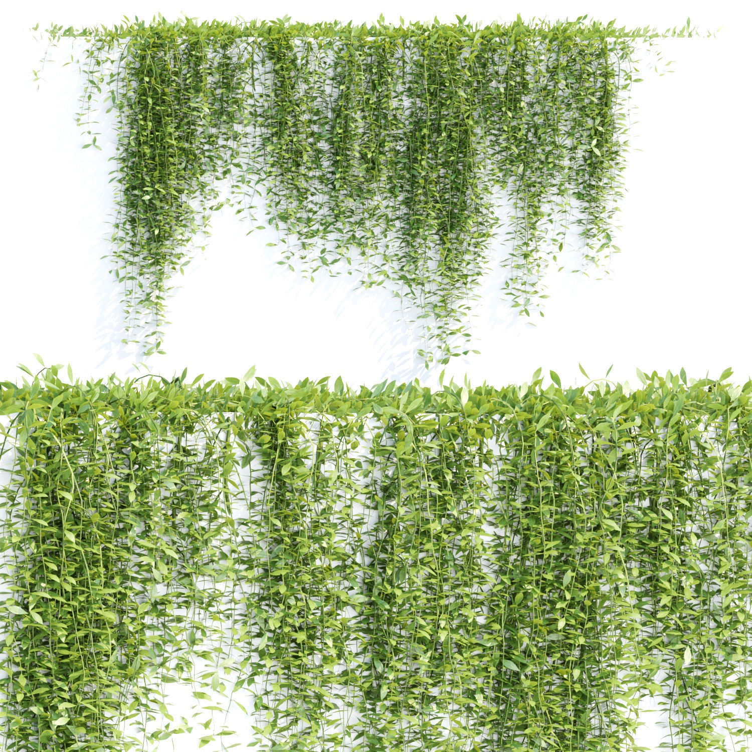 Creeper plants for wall collection vol 144 3D model_3