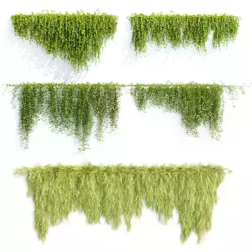 Creeper plants for wall collection vol 144 3D model