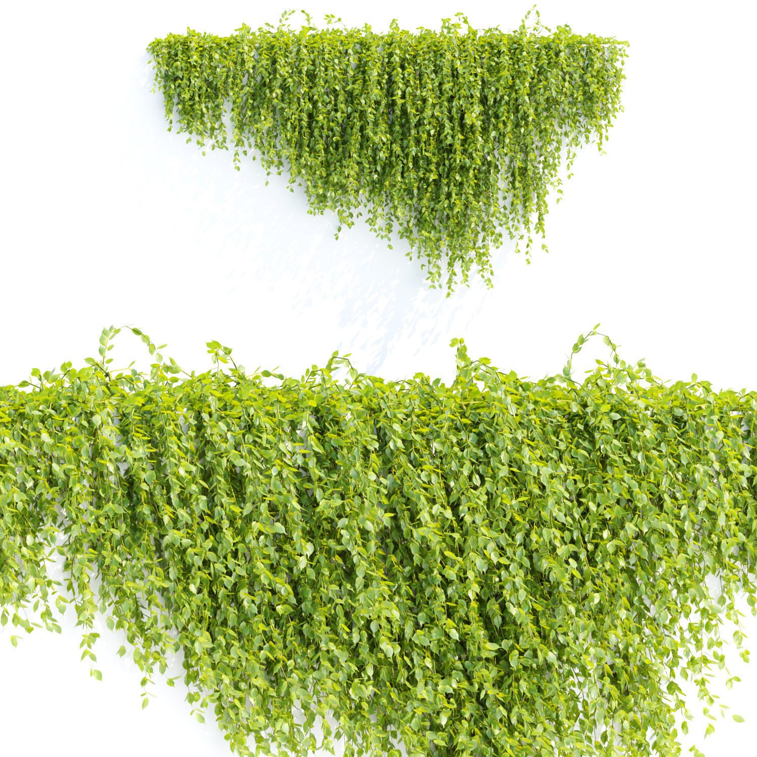 Creeper plants for wall collection vol 144 3D model_5