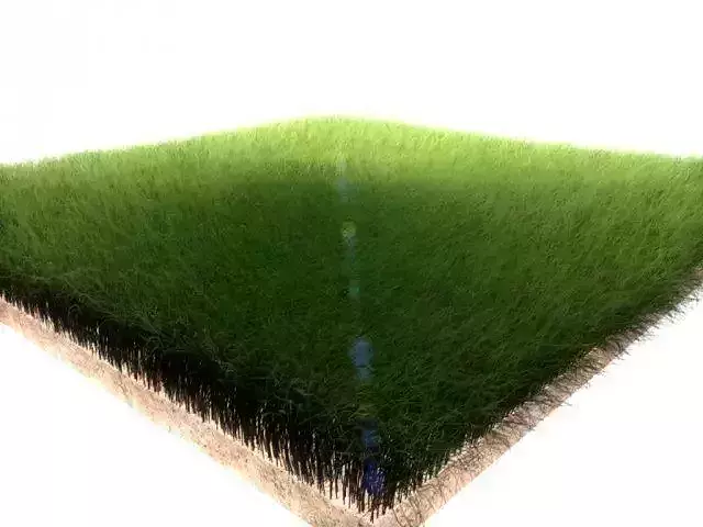 Dynamic Grass 2 3D model