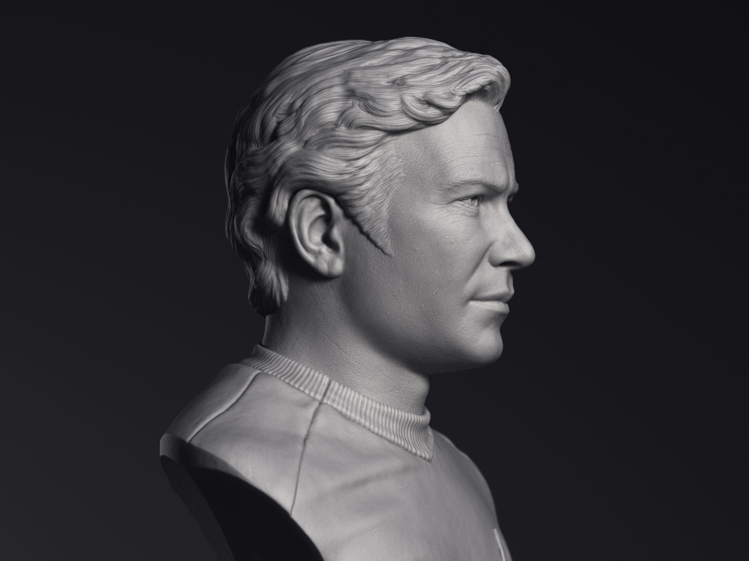 Kirk Spock and McCoy 3d printable bust collection  _26