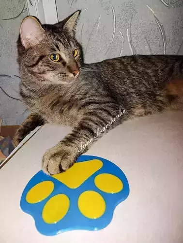Cup coaster Paw print  3D print model