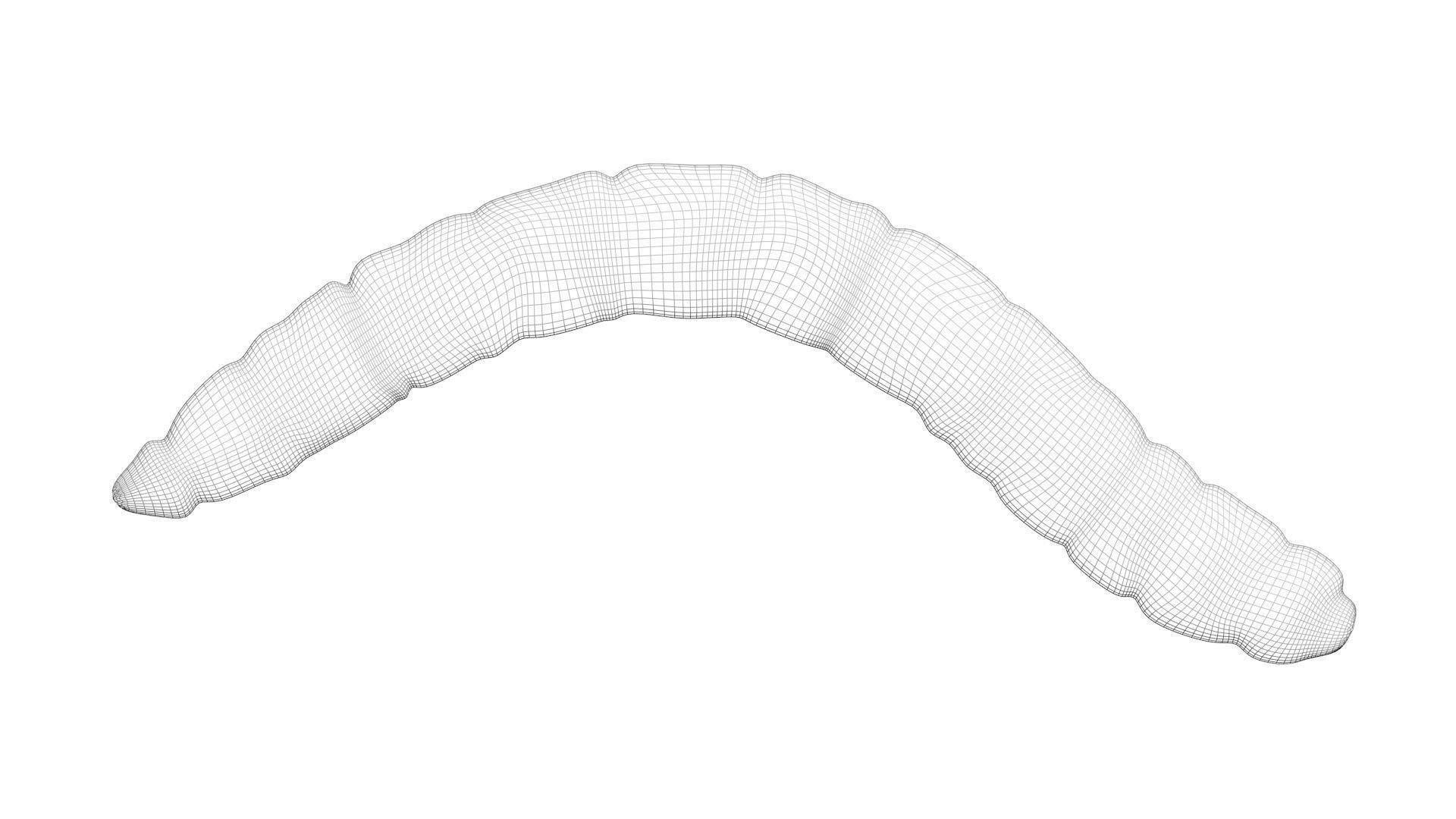 Mealworm 3D model | CGTrader
