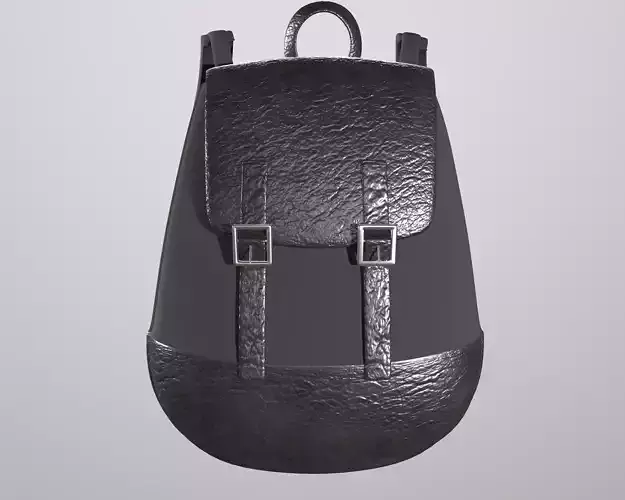 Backpack leather
