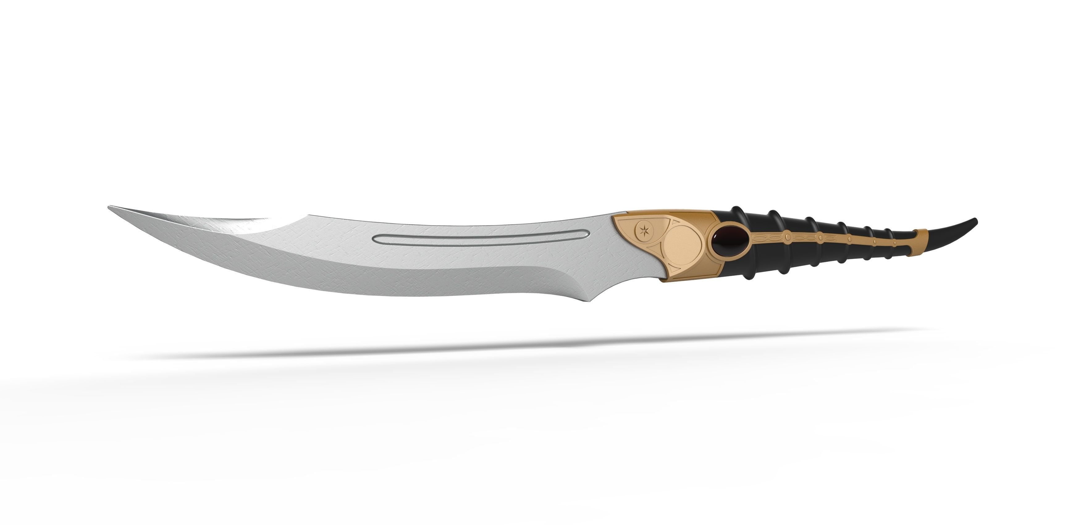 House of Dragon Dagger 3D print model_1