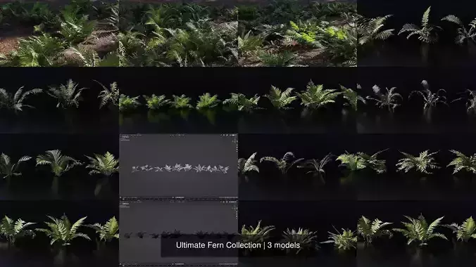 Ultimate Fern Collection