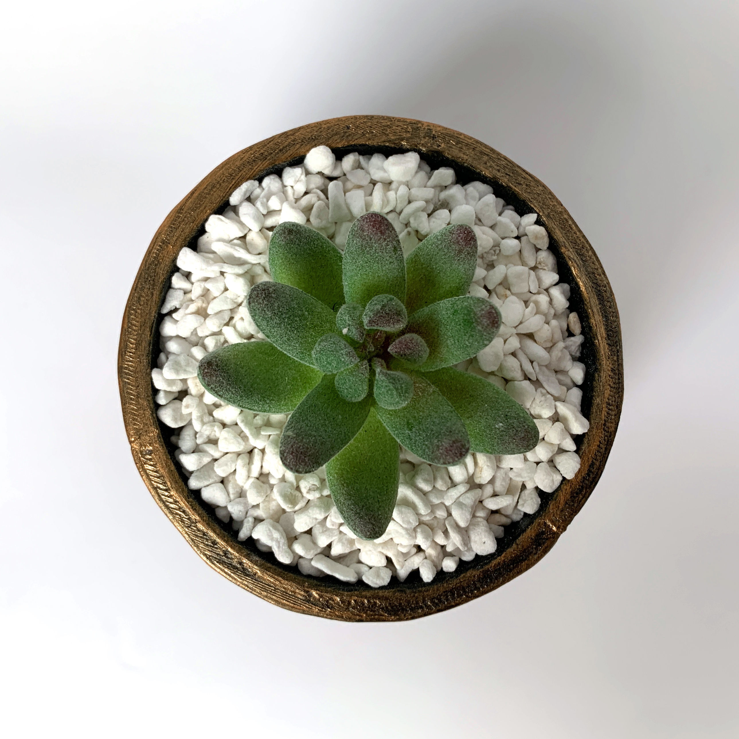 Trickle Pot 3D mold printing - Include Pot file for print 3D print model_5