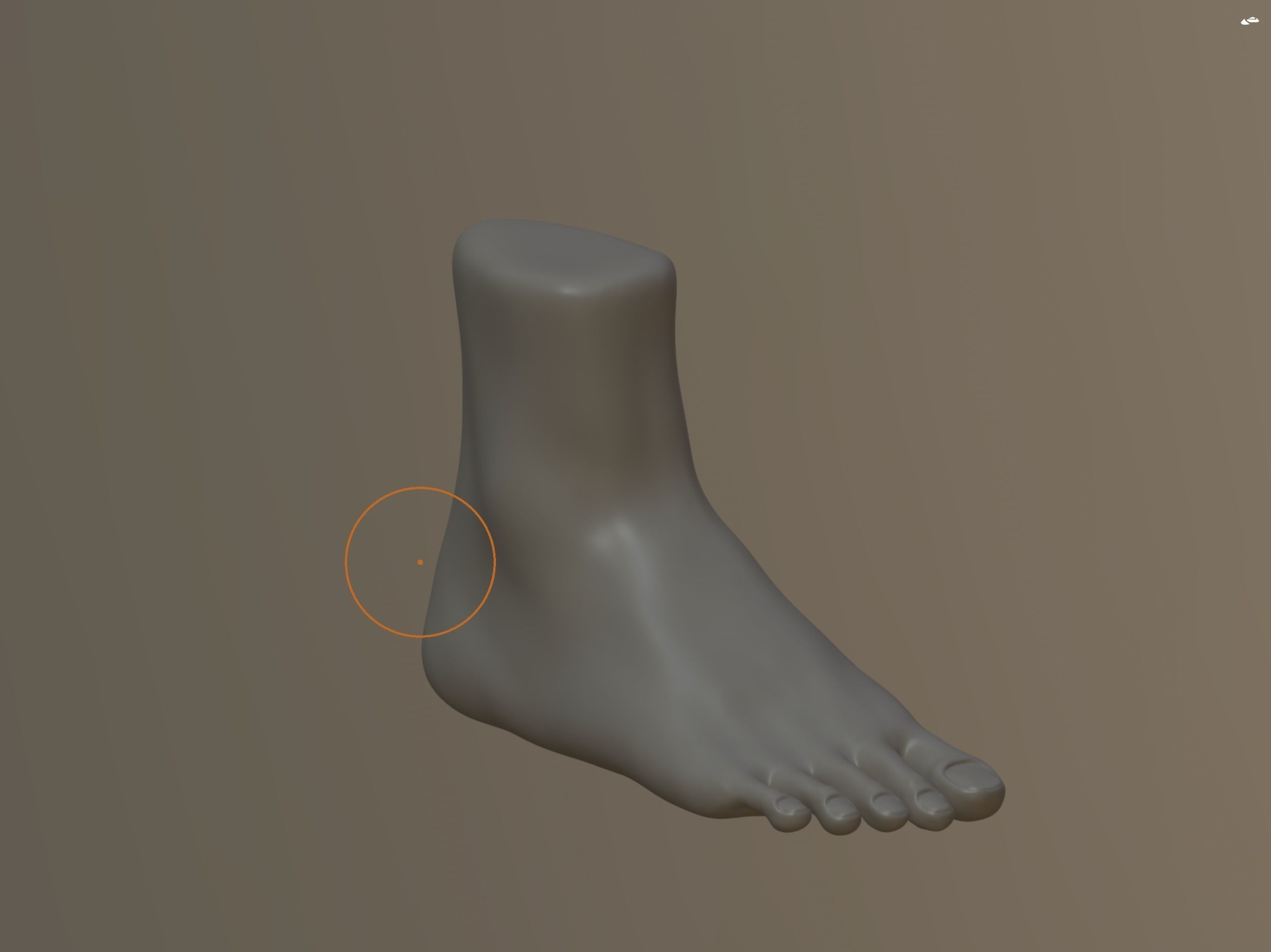 Foot Model 3D model_1