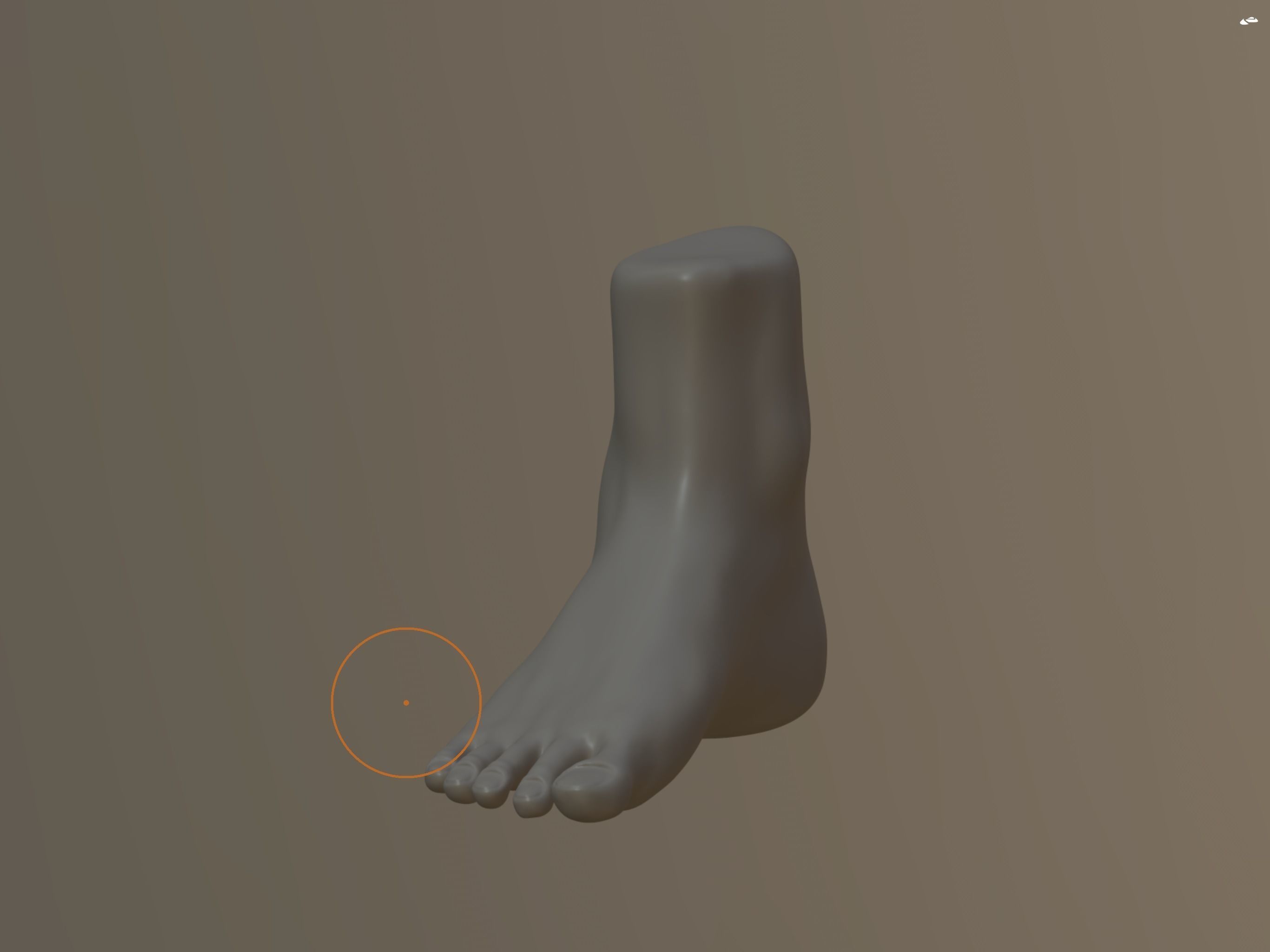 Foot Model 3D model_3