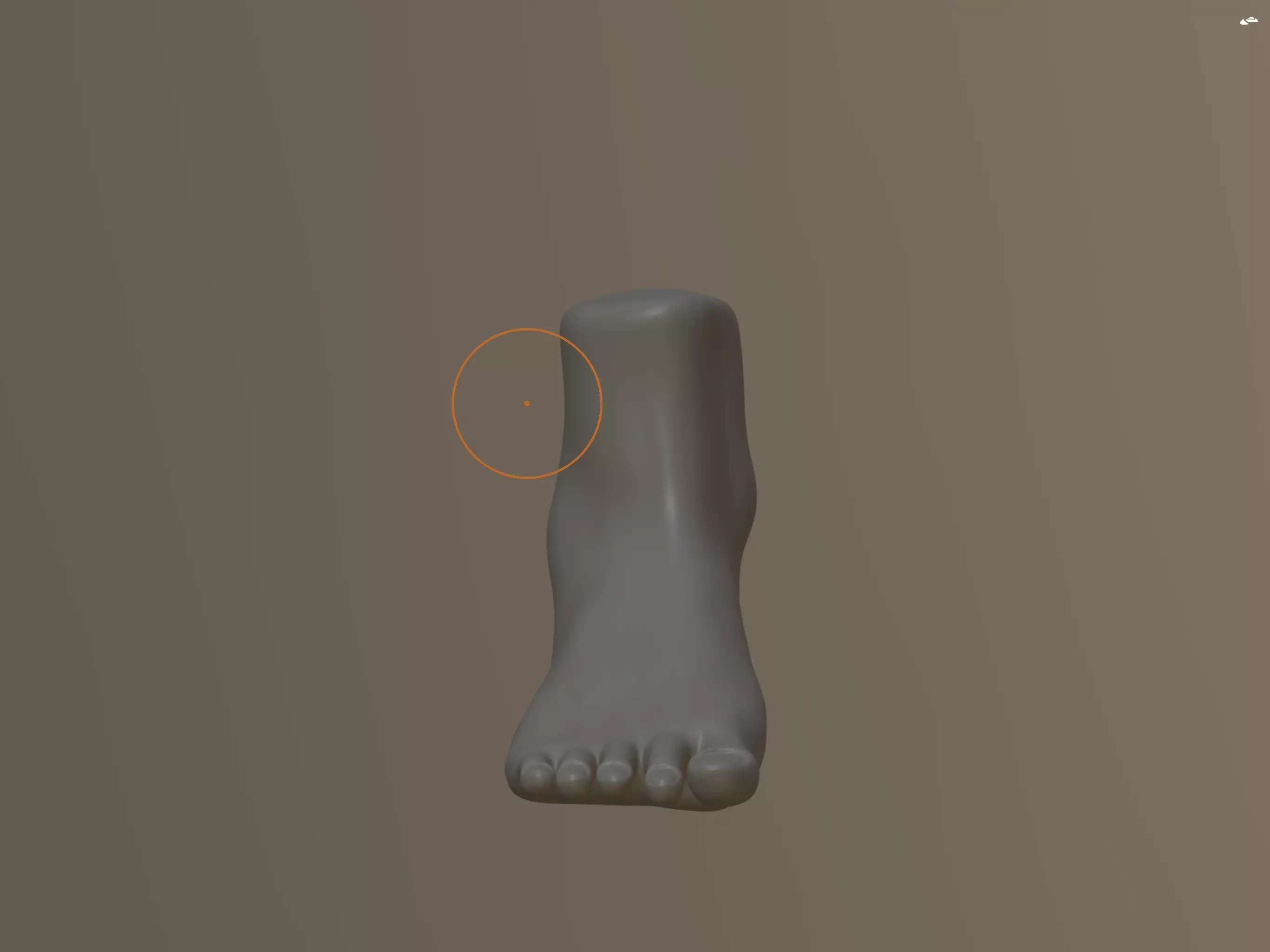 Foot Model 3D model_0
