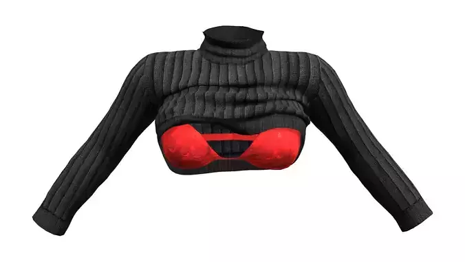 Rolled Up Sweater With and Without Bra