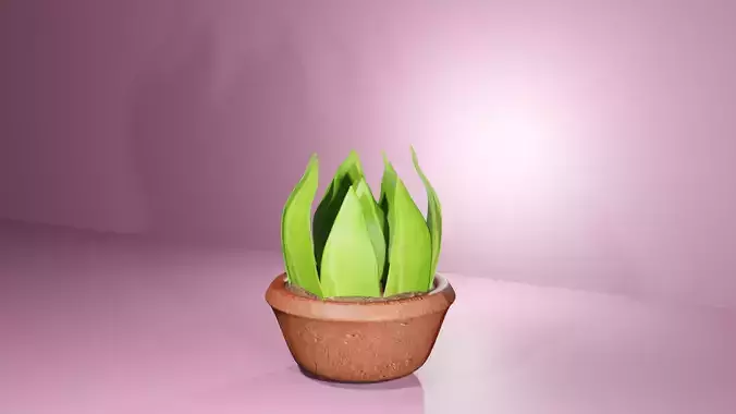 Ornamental Plant 3D Model