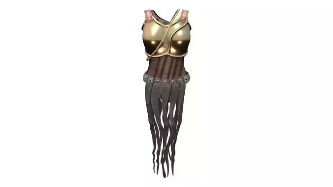 Amazon Woman Warrior Golden Armour Costume Outfit Dress