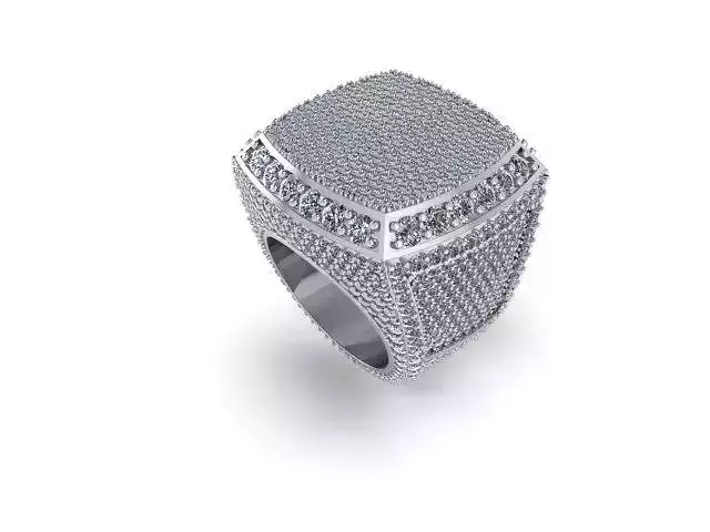 Champions ring size 13